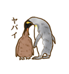 もふもふキングペンギンのヒナ（個別スタンプ：34）