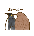 もふもふキングペンギンのヒナ（個別スタンプ：35）
