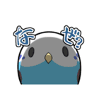 とりどりもふ鳥（個別スタンプ：5）