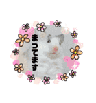タラちゃんとわかめちゃんのスタンプ（個別スタンプ：3）