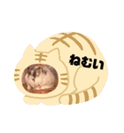 タラちゃんとわかめちゃんのスタンプ（個別スタンプ：8）