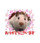 タラちゃんとわかめちゃんのスタンプ（個別スタンプ：12）