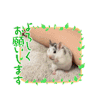 タラちゃんとわかめちゃんのスタンプ（個別スタンプ：14）