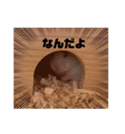 タラちゃんとわかめちゃんのスタンプ（個別スタンプ：26）