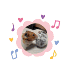 タラちゃんとわかめちゃんのスタンプ（個別スタンプ：32）