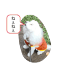 モコちゃん❣️（個別スタンプ：19）