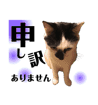 おこげとふじ①（個別スタンプ：11）