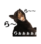 おこげとふじ①（個別スタンプ：40）