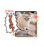 わが家のビビ姫＊春ver.（個別スタンプ：2）