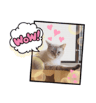 わが家のビビ姫＊春ver.（個別スタンプ：7）