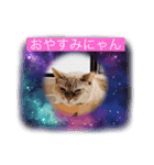 わが家のビビ姫＊春ver.（個別スタンプ：8）