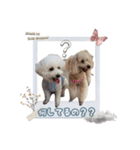 大福きなこと時々みかん（個別スタンプ：1）