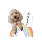 大福きなこと時々みかん（個別スタンプ：4）