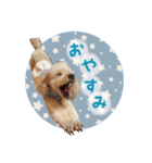 大福きなこと時々みかん（個別スタンプ：6）
