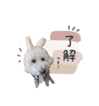 大福きなこと時々みかん（個別スタンプ：11）