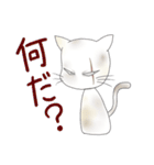 白猫の猫川さん（個別スタンプ：1）