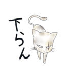 白猫の猫川さん（個別スタンプ：2）