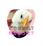 アンジュ♡Happyスタンプ♡（個別スタンプ：2）