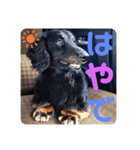 くうのお仕事伝言スタンプ（個別スタンプ：1）