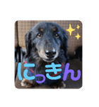 くうのお仕事伝言スタンプ（個別スタンプ：2）