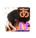くうのお仕事伝言スタンプ（個別スタンプ：4）
