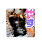 くうのお仕事伝言スタンプ（個別スタンプ：7）