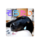 くうのお仕事伝言スタンプ（個別スタンプ：10）