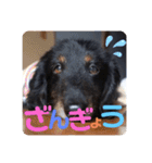 くうのお仕事伝言スタンプ（個別スタンプ：11）