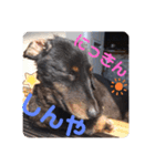 くうのお仕事伝言スタンプ（個別スタンプ：12）