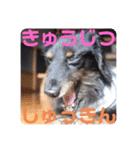 くうのお仕事伝言スタンプ（個別スタンプ：14）