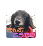 くうのお仕事伝言スタンプ（個別スタンプ：15）