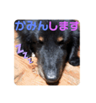 くうのお仕事伝言スタンプ（個別スタンプ：16）
