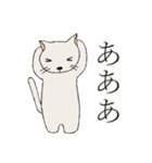 ひだまりのしろねこ（個別スタンプ：9）