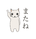 ひだまりのしろねこ（個別スタンプ：11）