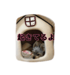 小梅ともも（個別スタンプ：21）