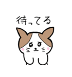 猫のミアとその仲間達（個別スタンプ：3）