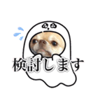 吾輩はハナである 2（個別スタンプ：17）