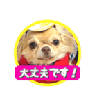 吾輩はハナである 2（個別スタンプ：29）