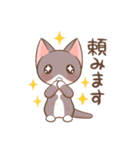 タキシードねこ（個別スタンプ：11）