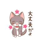 タキシードねこ（個別スタンプ：19）