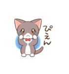 タキシードねこ（個別スタンプ：31）