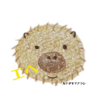 nanda zoo cookies レア獣（個別スタンプ：3）