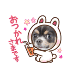 チワワ イヴ（個別スタンプ：9）