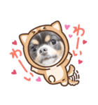 チワワ イヴ（個別スタンプ：16）