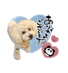 ゆる筆ペット♡ポンド、ロット、ルナ 3dogs（個別スタンプ：2）