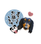 ゆる筆ペット♡ポンド、ロット、ルナ 3dogs（個別スタンプ：4）