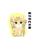 かわいいねこっっすたんぷ（個別スタンプ：15）