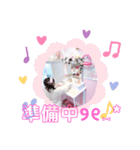 さきひなすたんぷ（個別スタンプ：5）