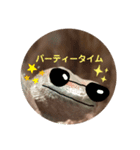 ほとんどヤモリスタンプ2（個別スタンプ：11）