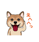 shiba@SURFBORDER（個別スタンプ：11）